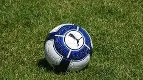 “28岁狮王斯旺迪因心肌病无奈告别赛场”